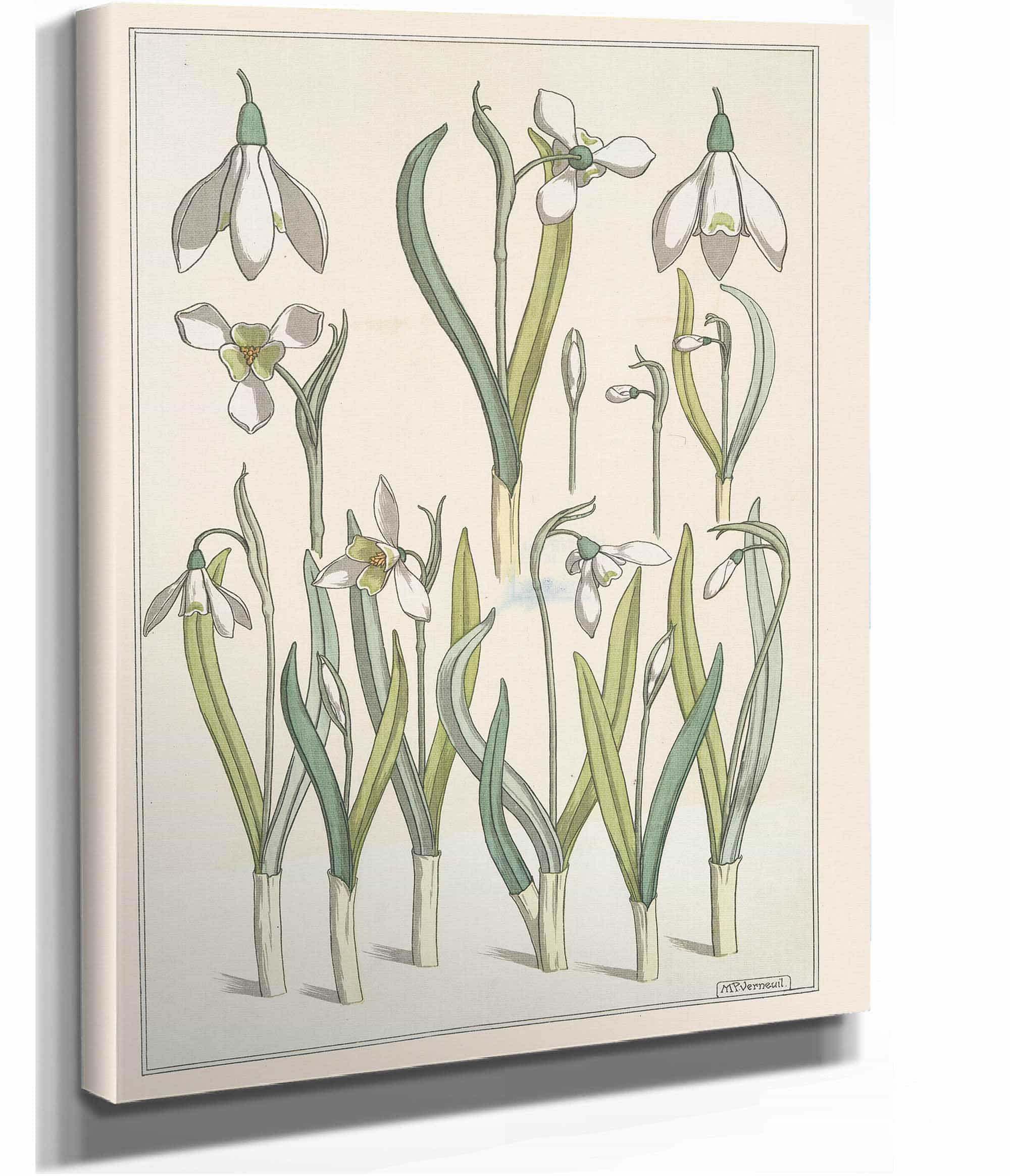Perce Neige by Maurice Pillard Verneuil