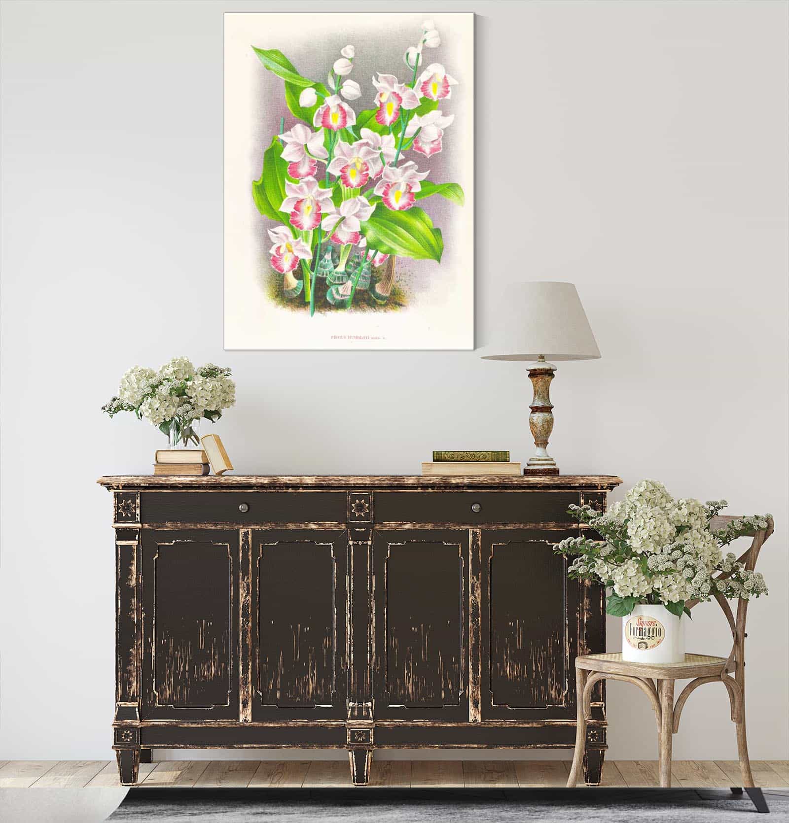 Phaius Humbloti by Jean Jules Linden