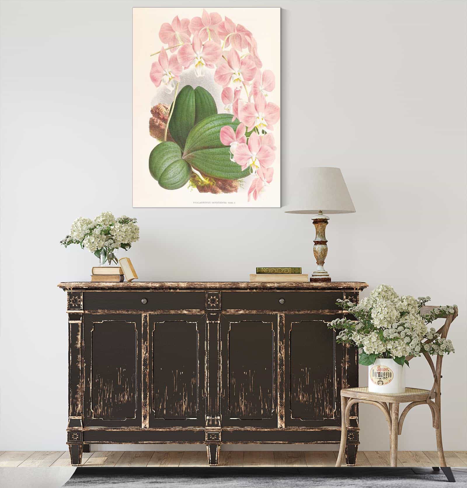 Phalaenopsis Sanderiana by Jean Jules Linden
