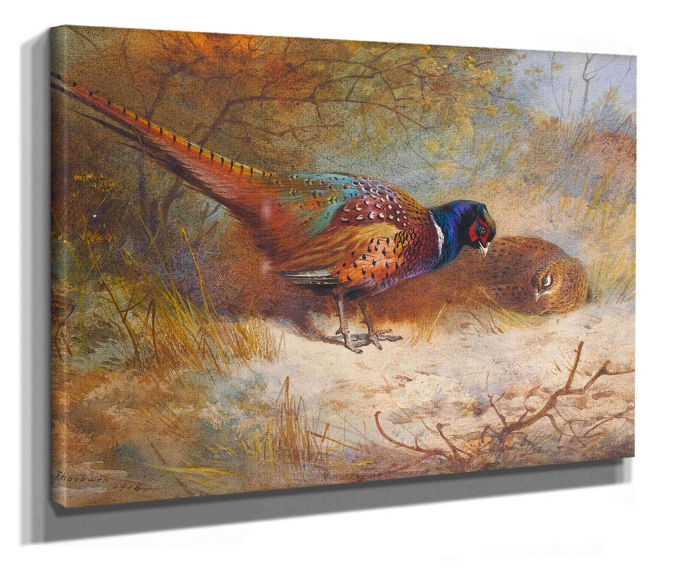 Pheasants by Archibald Thorburn