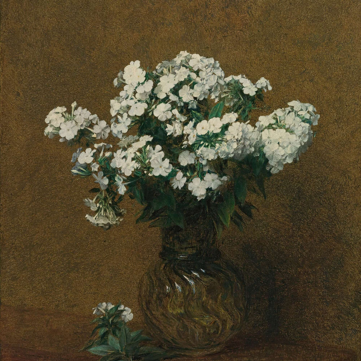 Phlox Blancs Dans Un Vase by Henri Fantin Latour