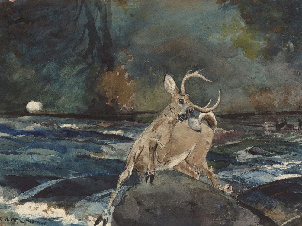 A Good Shot, Adirondacks By Winslow Homer Phoenix 4x3