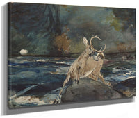 A Good Shot, Adirondacks By Winslow Homer Phoenix 4x3