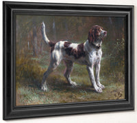 A Limier Briquet Hound By Rosa Bonheur Phoenix 4x3