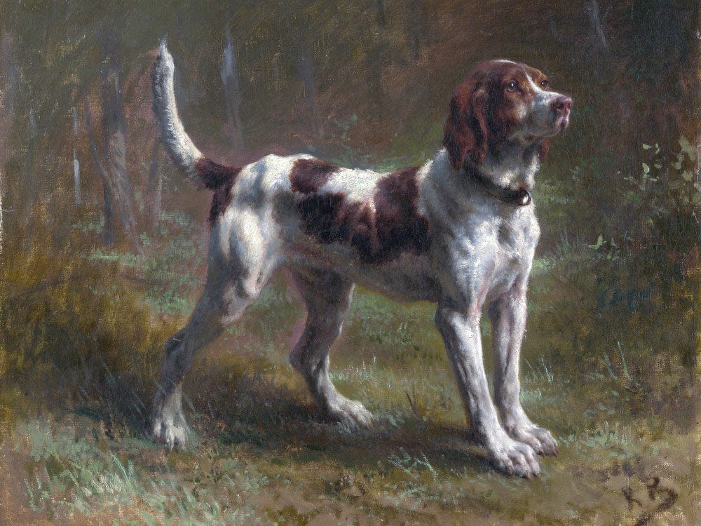 A Limier Briquet Hound By Rosa Bonheur Phoenix 4x3