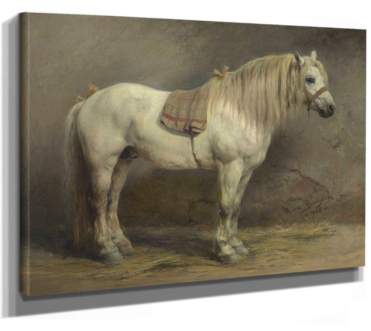 A White Horse By Rosa Bonheur Phoenix 4x3