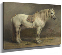 A White Horse By Rosa Bonheur Phoenix 4x3