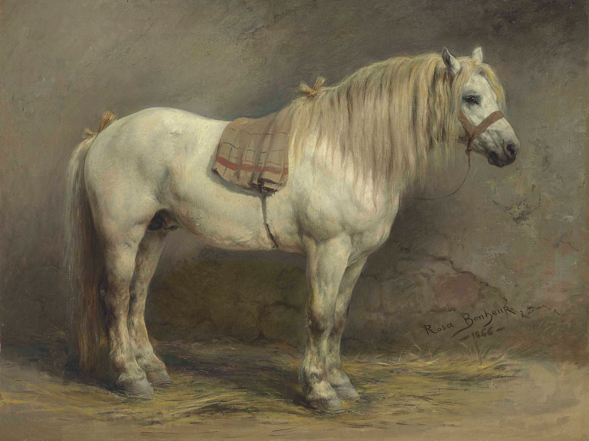 A White Horse By Rosa Bonheur Phoenix 4x3