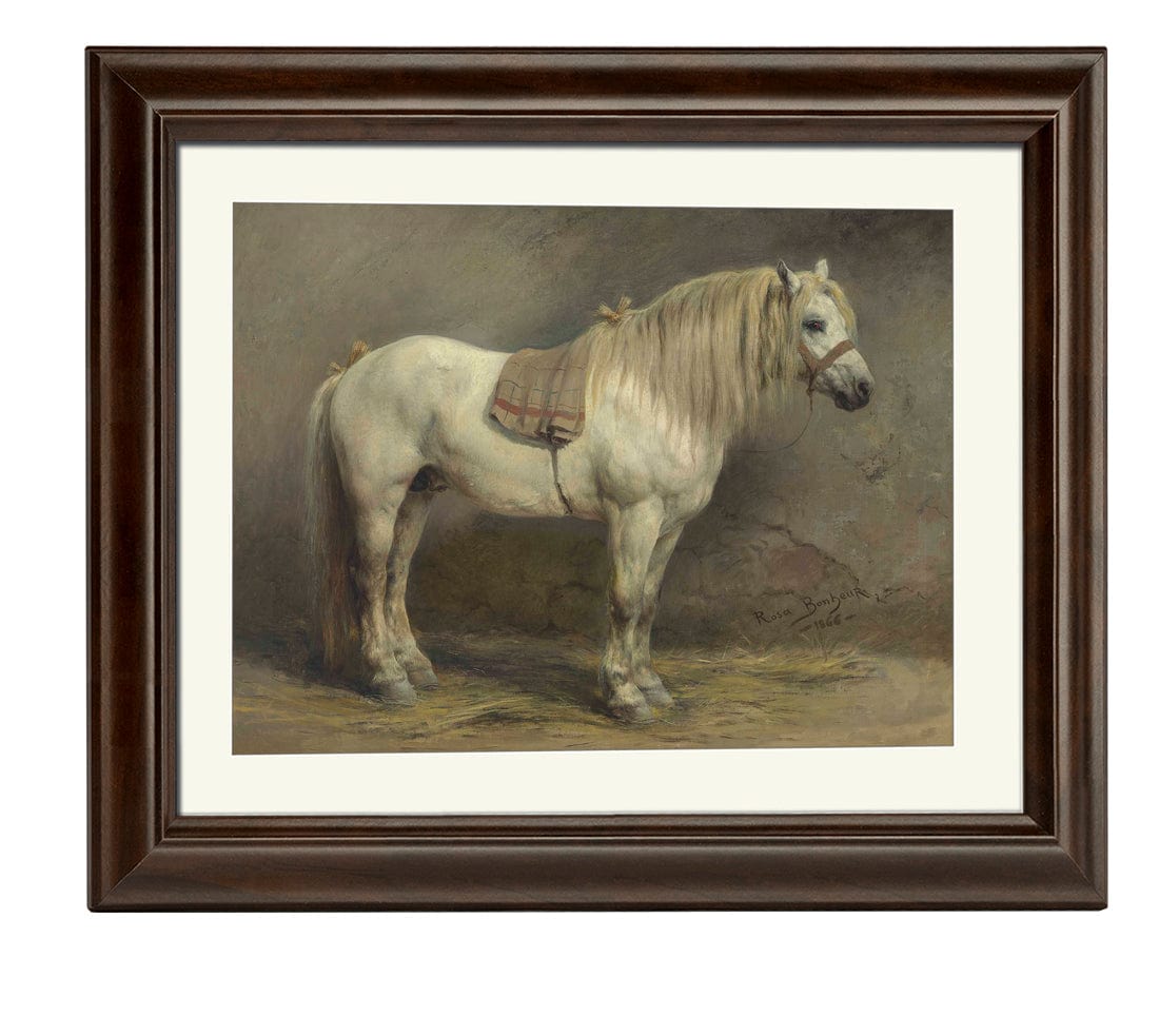 A White Horse By Rosa Bonheur Phoenix 4x3