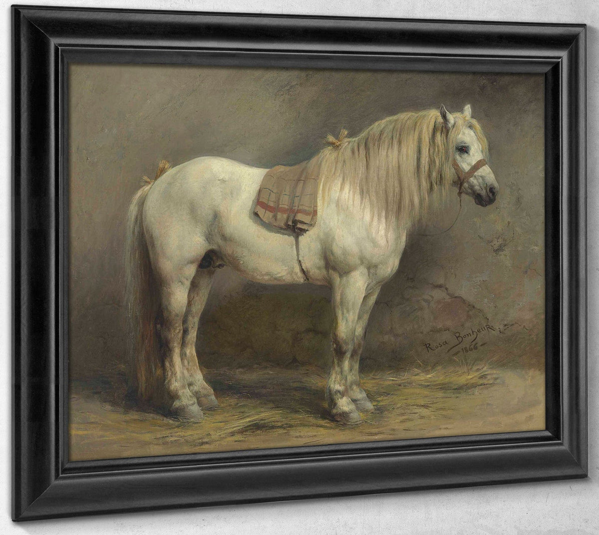 A White Horse By Rosa Bonheur Phoenix 4x3