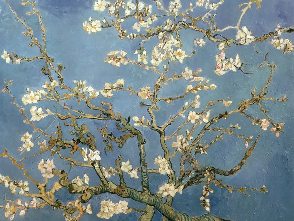 Almond Blossom By Vincent Van Gogh Phoenix 4x3