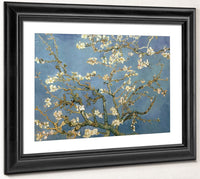 Almond Blossom By Vincent Van Gogh Phoenix 4x3