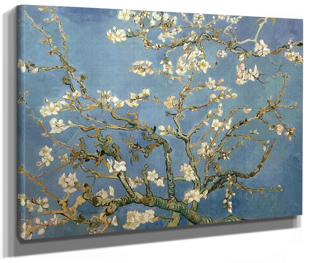 Almond Blossom By Vincent Van Gogh Phoenix 4x3