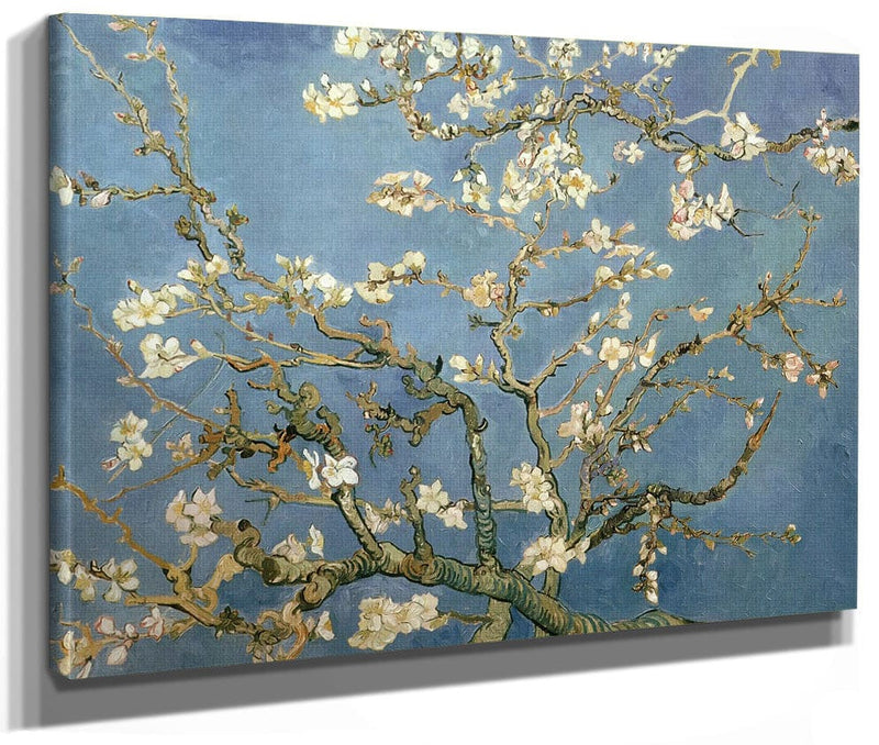 Almond Blossom By Vincent Van Gogh Phoenix 4x3