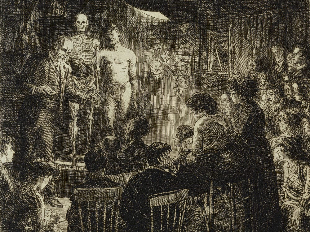 Anschultz On Anatomy By John Sloan Phoenix 4x3