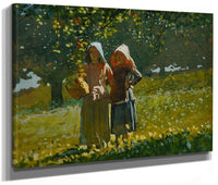 Apple Picking By Winslow Homer Phoenix 4x3
