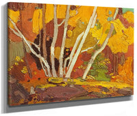 Autumn Birches By Tom Thomson Phoenix 4x3