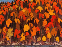 Autumn Foliage By Tom Thomson Phoenix 4x3