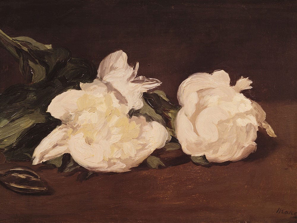 Branch Of White Peonies And Secateurs By Edouard Manet Phoenix 4x3