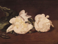 Branch Of White Peonies And Secateurs By Edouard Manet Phoenix 4x3