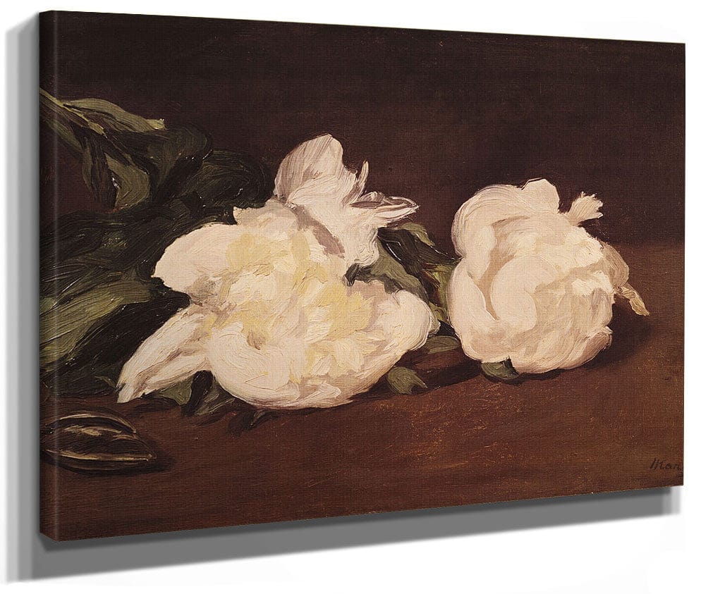 Branch Of White Peonies And Secateurs By Edouard Manet Phoenix 4x3