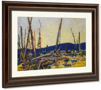 Burnt Land By Tom Thomson Phoenix 4x3