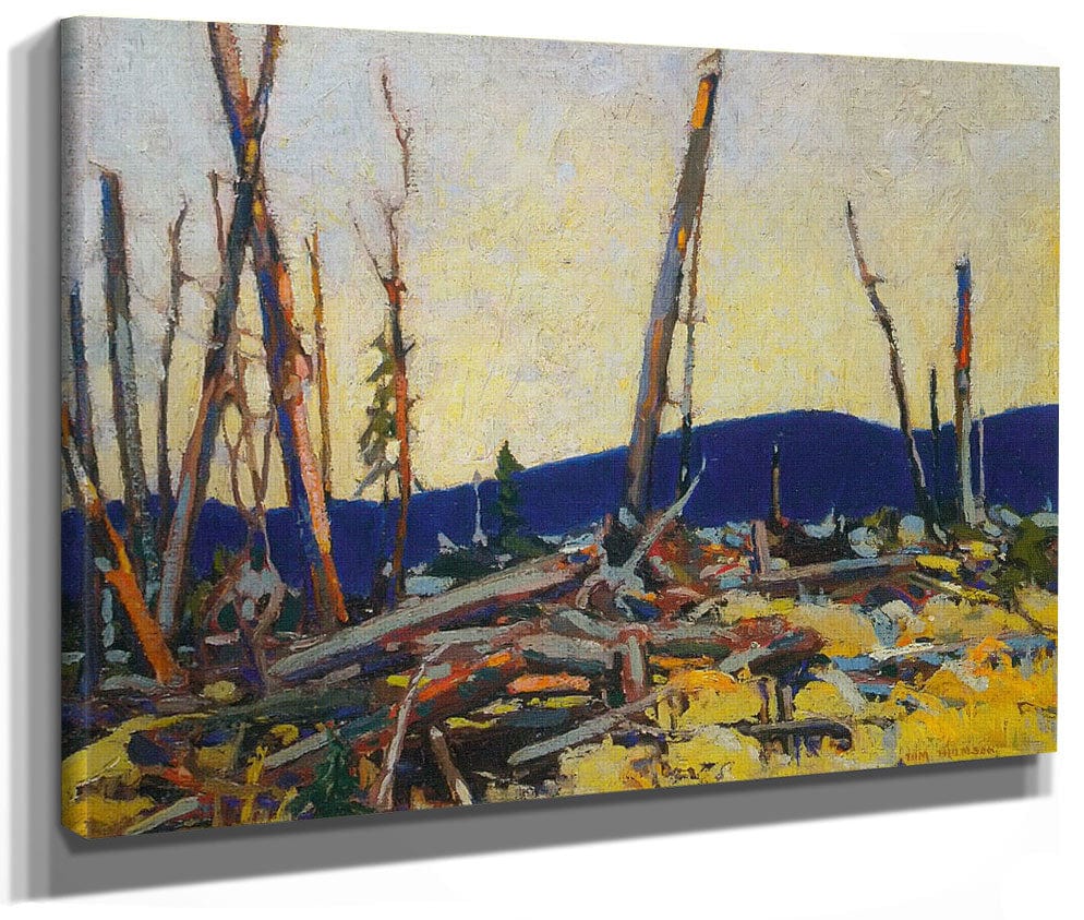 Burnt Land By Tom Thomson Phoenix 4x3