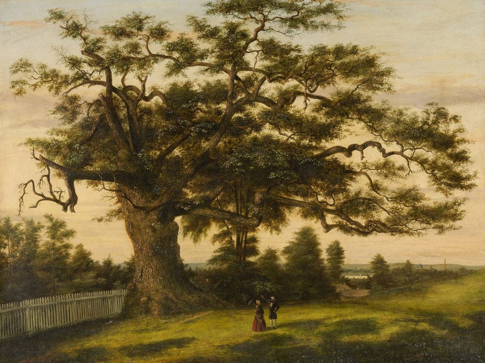 Charter Oak By Charles De Wolf Brownell Phoenix 4x3