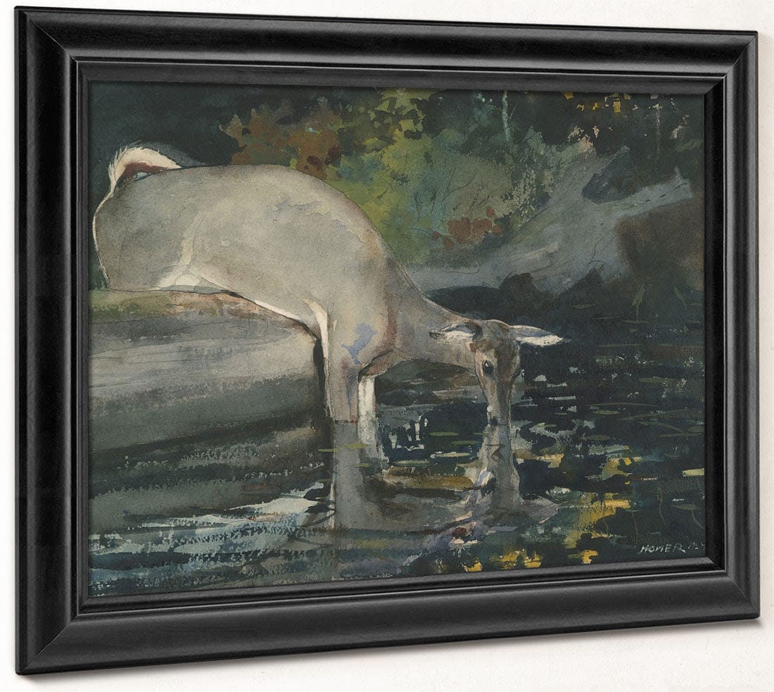 Deer Drinking By Winslow Homer Phoenix 4x3