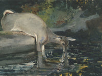 Deer Drinking By Winslow Homer Phoenix 4x3