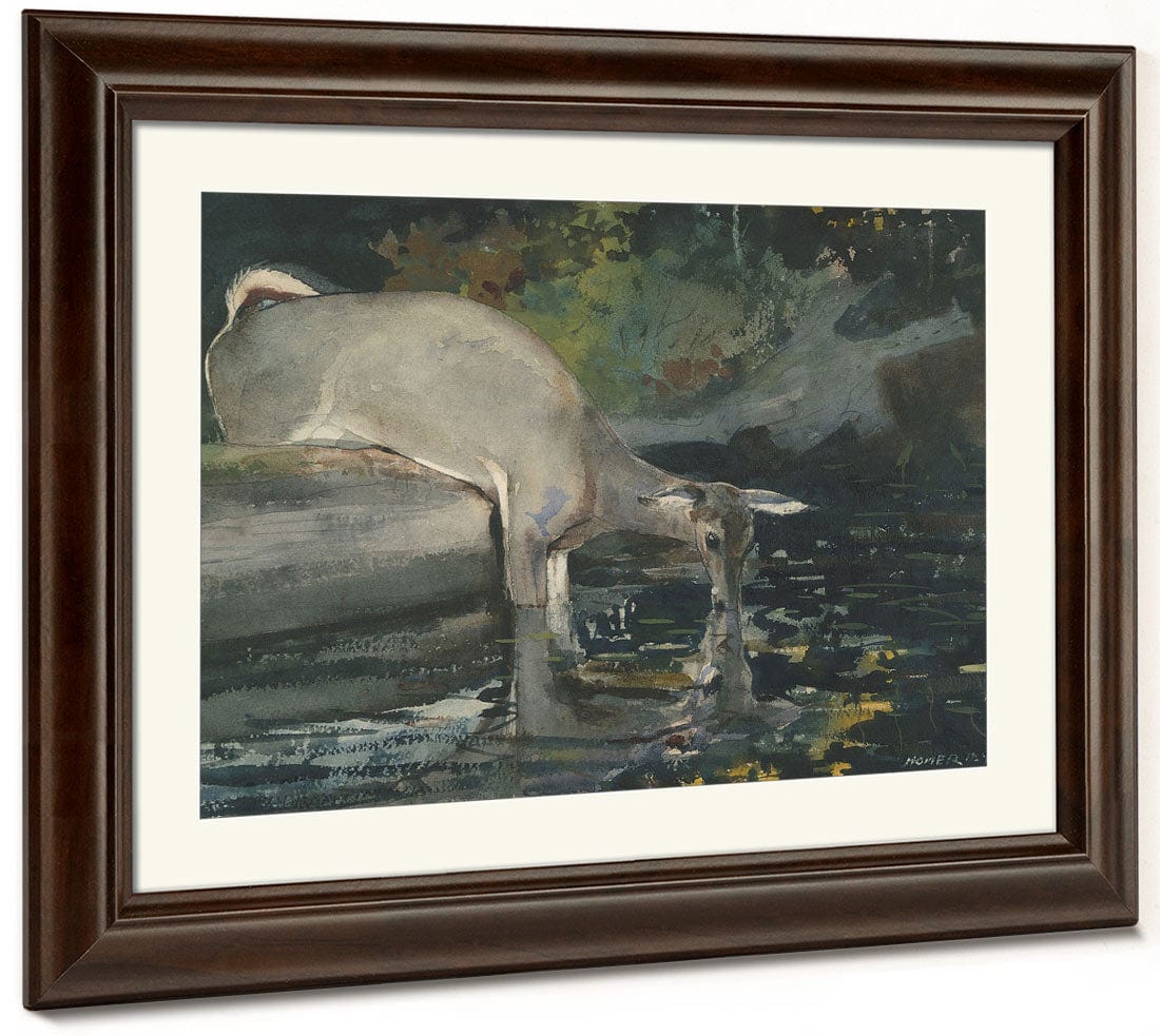 Deer Drinking By Winslow Homer Phoenix 4x3