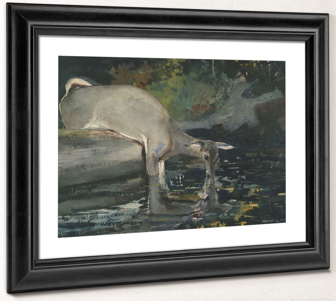 Deer Drinking By Winslow Homer Phoenix 4x3