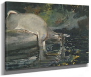 Deer Drinking By Winslow Homer Phoenix 4x3