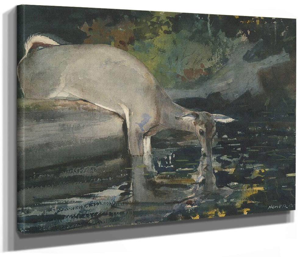 Deer Drinking By Winslow Homer Phoenix 4x3