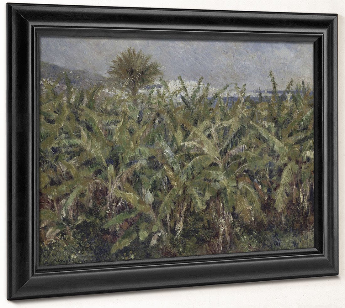 Field Of Banana Trees By Pierre Auguste Renoir Phoenix 4x3