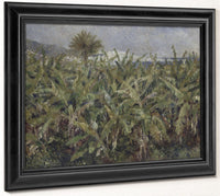 Field Of Banana Trees By Pierre Auguste Renoir Phoenix 4x3
