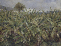 Field Of Banana Trees By Pierre Auguste Renoir Phoenix 4x3