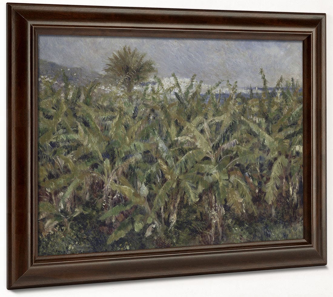 Field Of Banana Trees By Pierre Auguste Renoir Phoenix 4x3