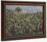 Field Of Banana Trees By Pierre Auguste Renoir Phoenix 4x3