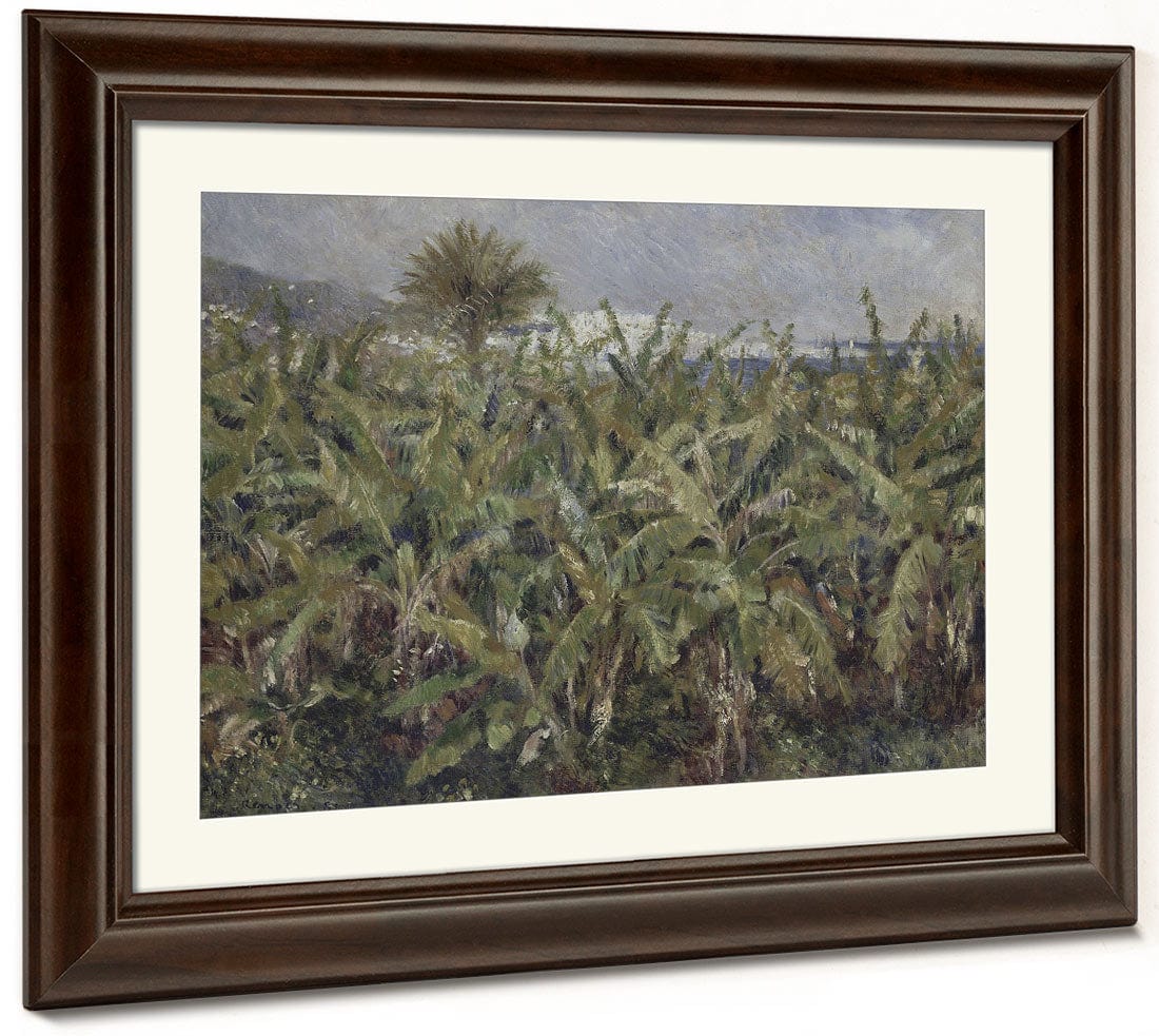 Field Of Banana Trees By Pierre Auguste Renoir Phoenix 4x3