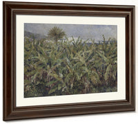 Field Of Banana Trees By Pierre Auguste Renoir Phoenix 4x3