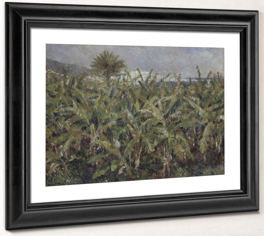 Field Of Banana Trees By Pierre Auguste Renoir Phoenix 4x3