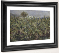 Field Of Banana Trees By Pierre Auguste Renoir Phoenix 4x3
