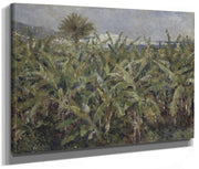 Field Of Banana Trees By Pierre Auguste Renoir Phoenix 4x3