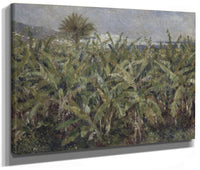 Field Of Banana Trees By Pierre Auguste Renoir Phoenix 4x3