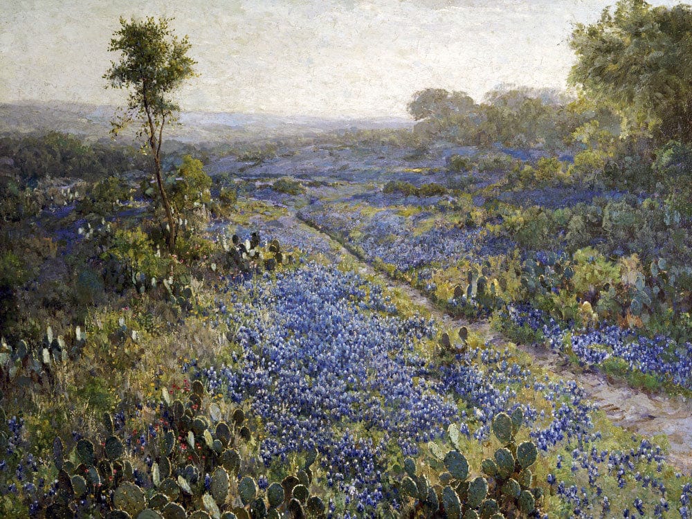 Field Of Texas Bluebonnets And Prickly Pear Cacti By Julian Onderdonk Phoenix 4x3