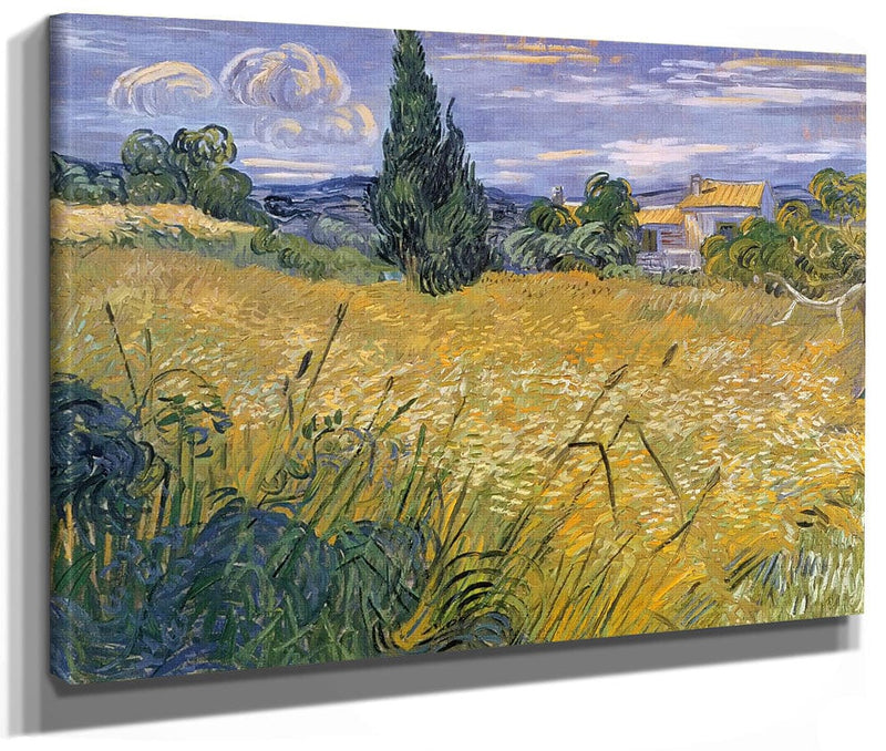 Green Wheat Field With Cypress By Vincent Van Gogh Phoenix 4x3