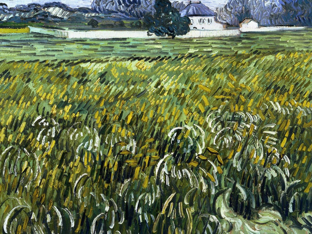 House At Auvers By Vincent Van Gogh Phoenix 4x3