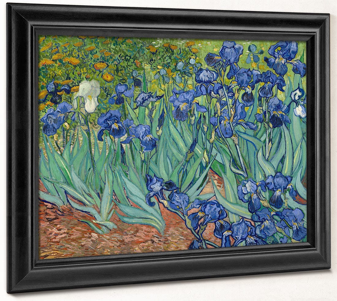 Irises By Vincent Van Gogh Phoenix 4x3