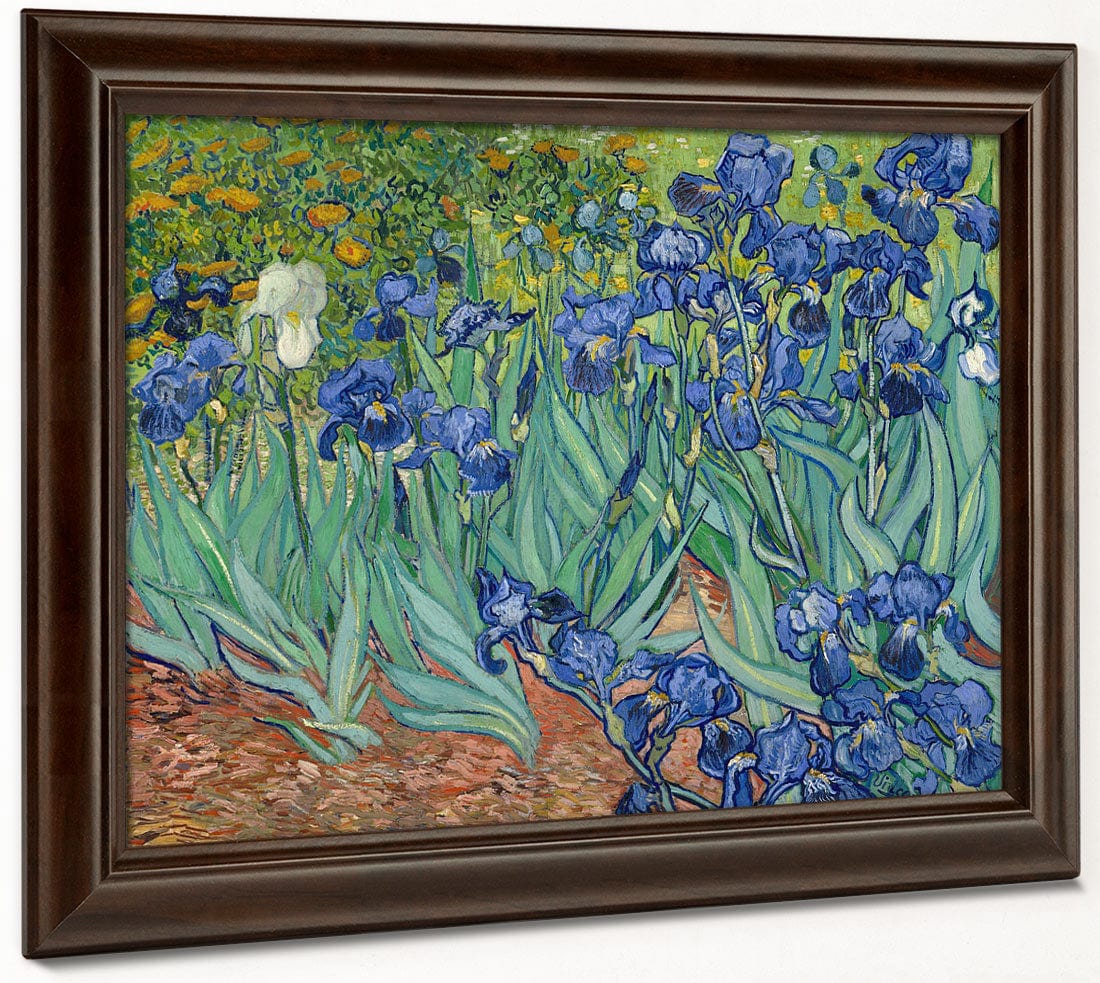 Irises By Vincent Van Gogh Phoenix 4x3